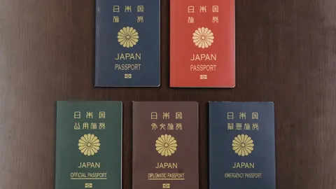 青岛主帅夫人强调：才华横溢之外，还需掌握抵御干扰维护家庭和谐之道。