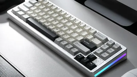 杜布瓦放弃比赛争夺金腰带，是否意在减缓张志磊问鼎世界冠军的速度？