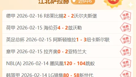 印尼超焦点战：婆罗洲VS马兰，专家推荐及质合分析回顾