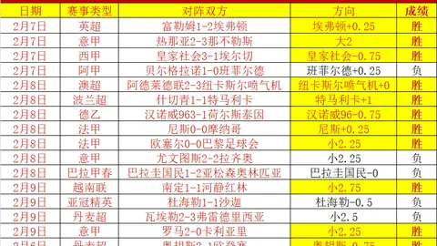 “梁王组合无缘印度羽毛球公开赛男双四强——央视新闻客户端讯”